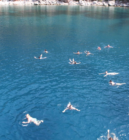 10:00-10:30 Akvariyum Koyunda Yüzme molası